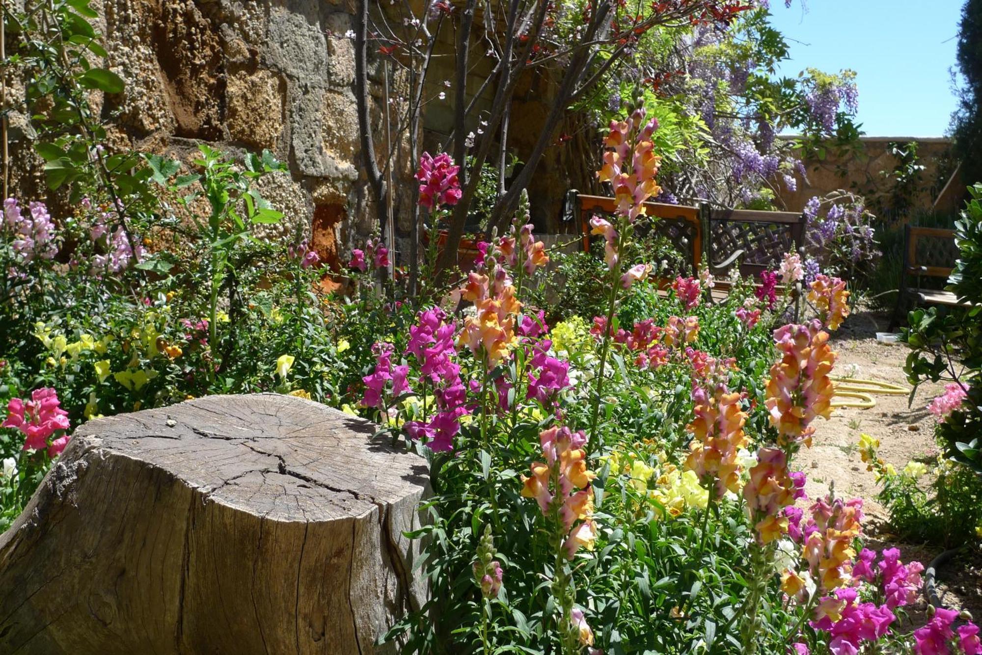 Hotel Rural San Miguel - Only Adults سان ميغيل ذي أبونا المظهر الخارجي الصورة