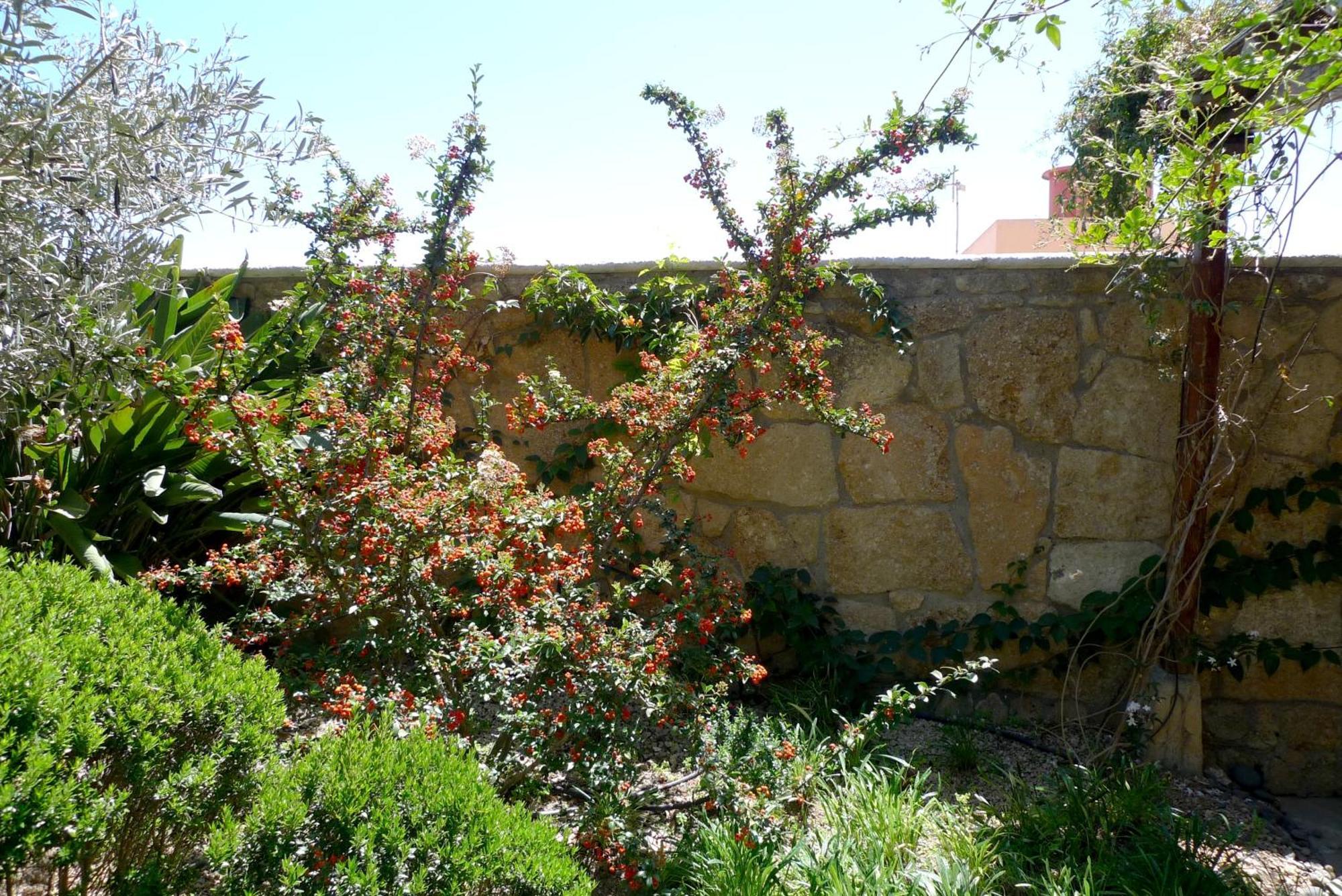 Hotel Rural San Miguel - Only Adults سان ميغيل ذي أبونا المظهر الخارجي الصورة
